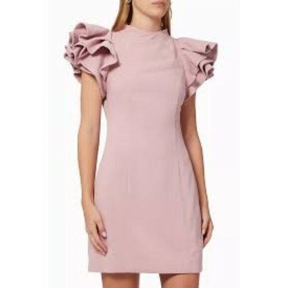 Elliatt Nordstrom Rare Chic‎ Elegant Tanner Blush Pink Ruffle Sleeve Mini Dress - Picture 1 of 8